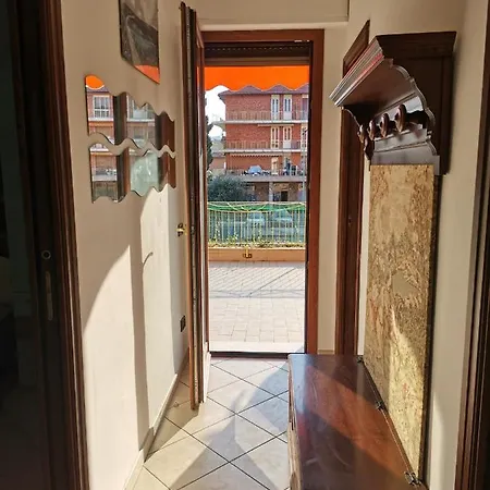 Il Tulipano *