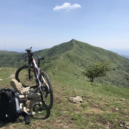 Il Tulipano Appartement